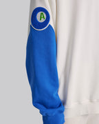 Paneled Raglan Sweatshirt image 5