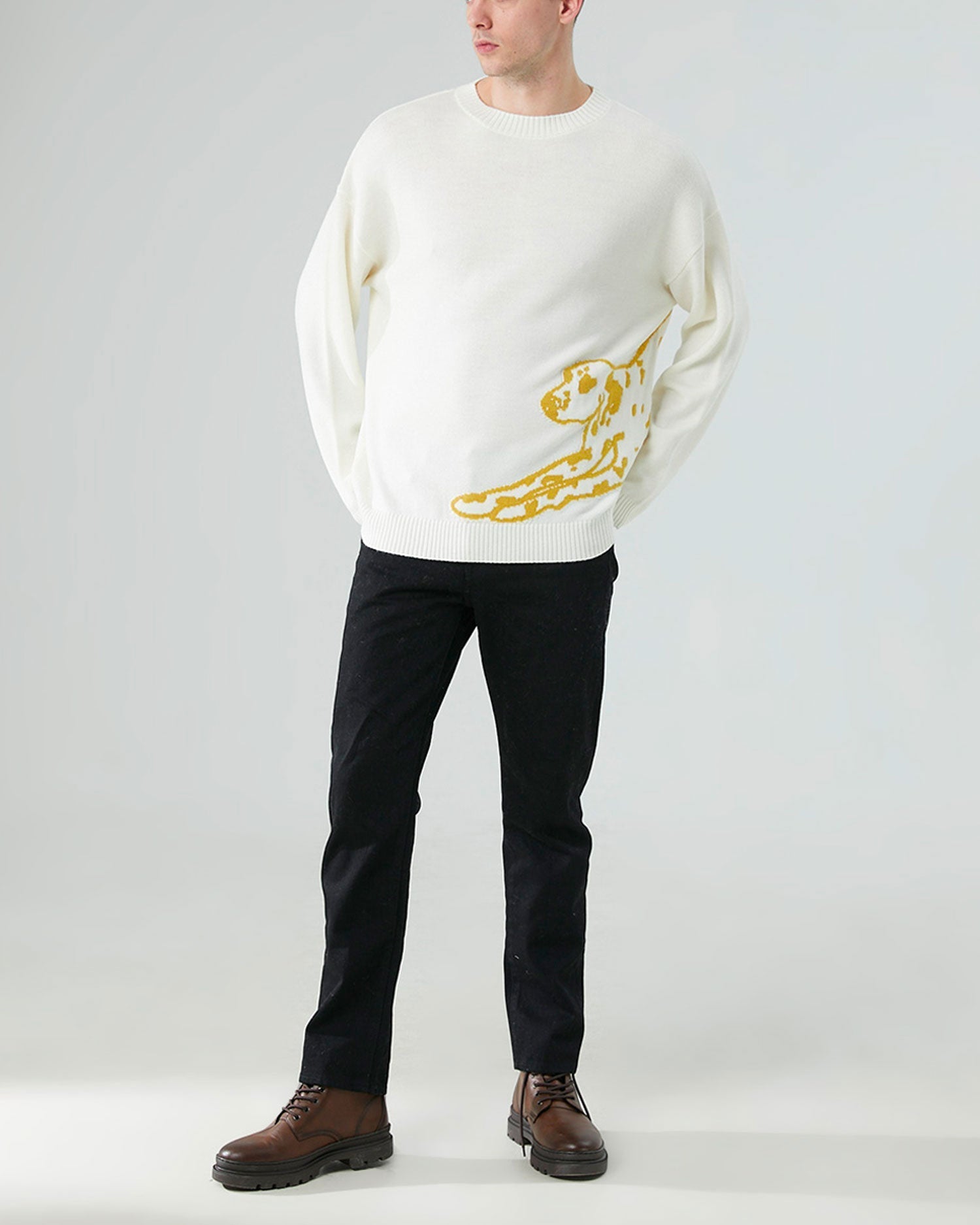 Pure Wool Print Sweater image 1