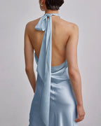 Halterneck Silk Maxi Dress image 3