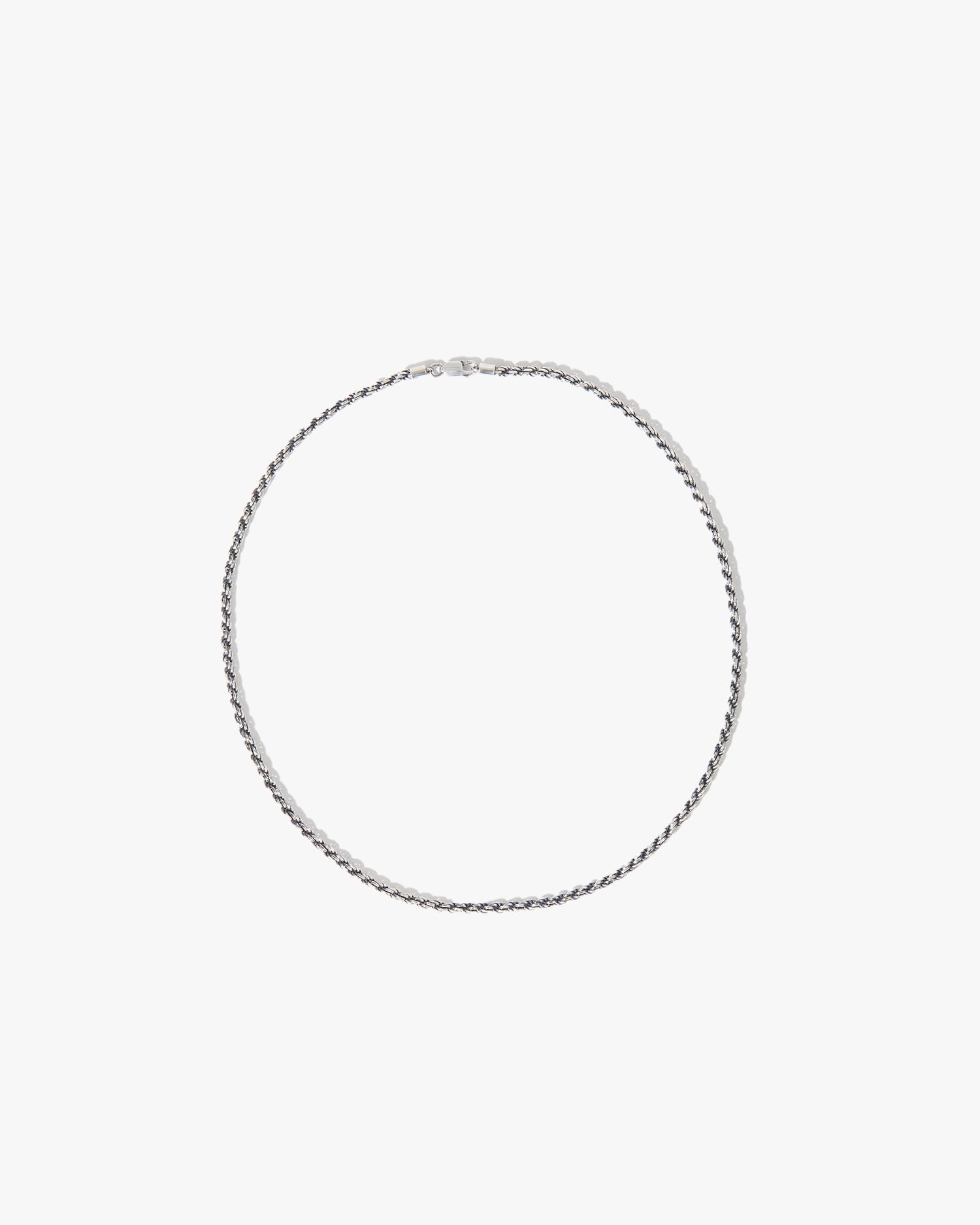 Silver Lobster-Claw Rope-Chain image 1